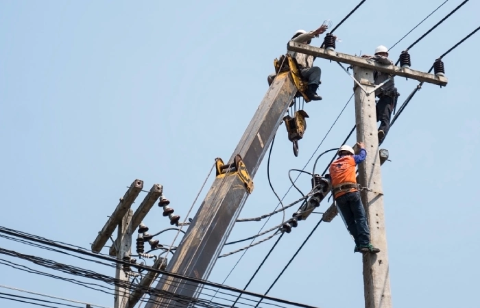 11 kV Feeders
